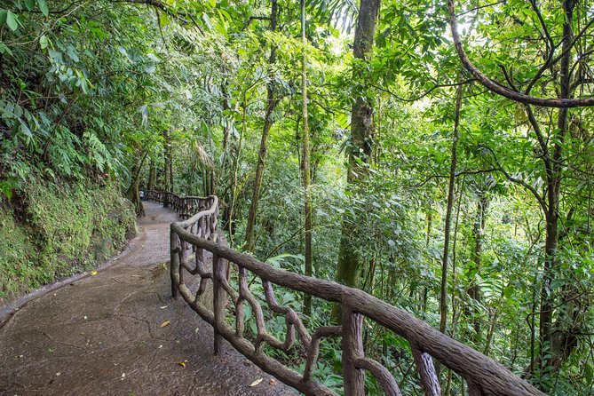 Mistico Hanging Bridges AM or PM, Guide & Transport - Tour Requirements and Restrictions
