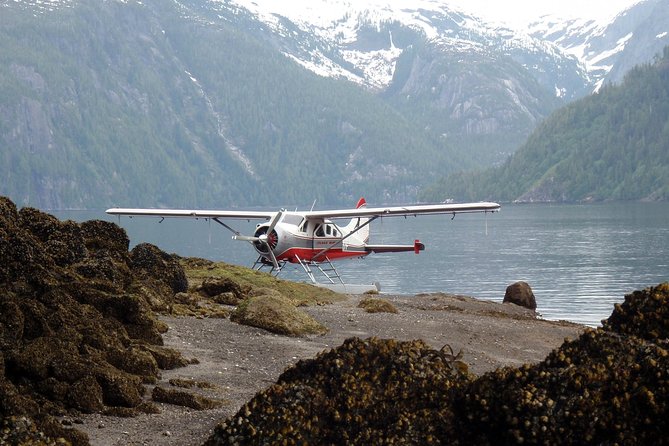 Misty Fjords Seaplane Tour - Aerial Perspectives of Misty Fjords