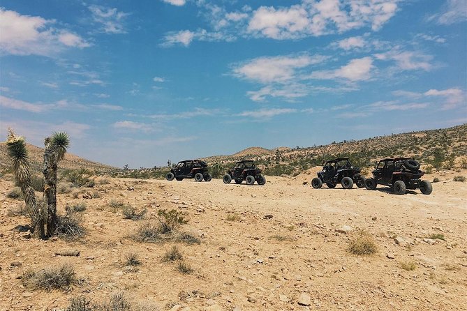 Mojave Desert Off Road RZR Tour in Las Vegas - Participant Requirements and Restrictions