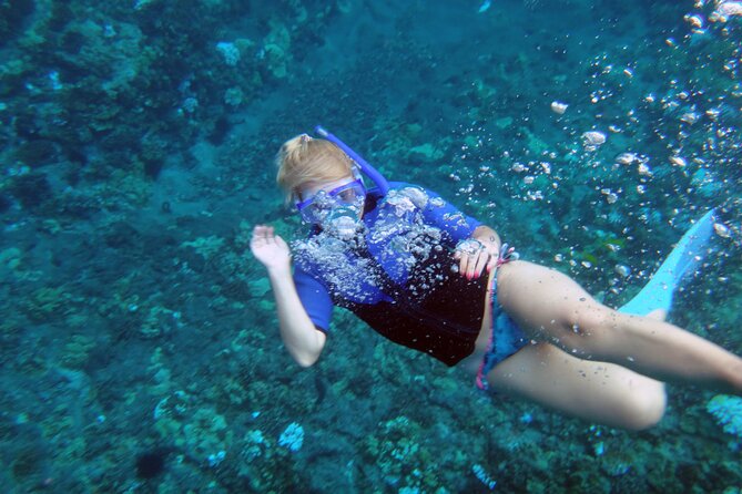 Molokini Crater Snorkeling Adventure - Meeting and Check-in Process