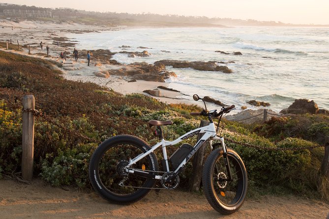 Montereys 17 Mile Drive Electric Bike Tour, 3 Hour - Scenic Coastline and Wildlife