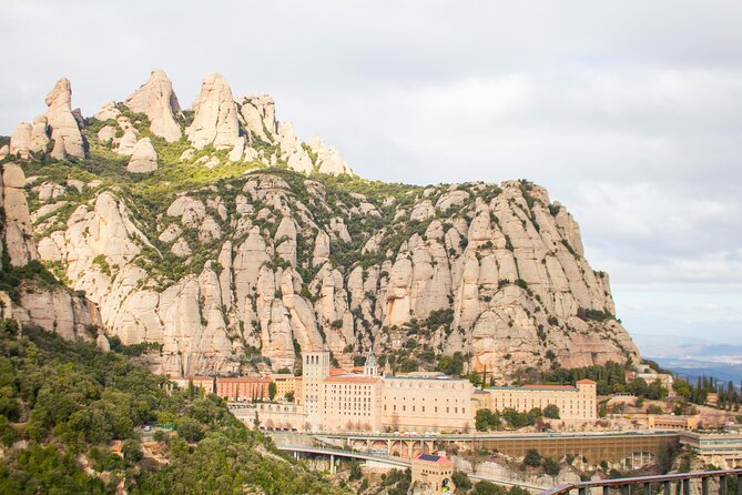 Montserrat Full Day Tour With Farmhouse Lunch and Winery Visit - Wine Tasting at the Abadal Winery
