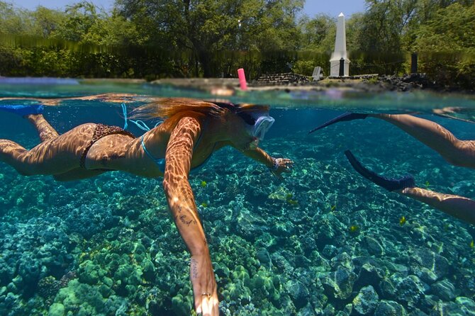 Morning Kealakekua Snorkel Tour - Positive Customer Feedback