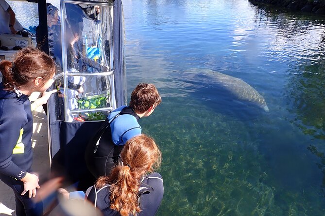 Most Popular 3hr Manatee Swim Tour + In-Water Guide! - Customer Feedback