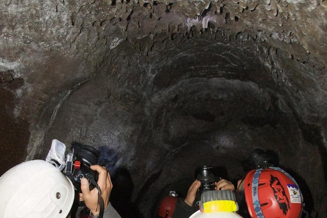 Mt. Etna Nature and Flavors Half Day Tour From Catania - Additional Information