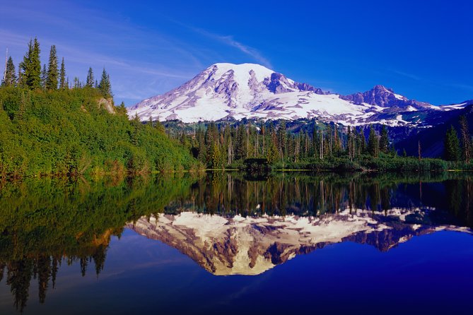 Mt. Rainier Day Tour From Seattle - Recommendations and Tips