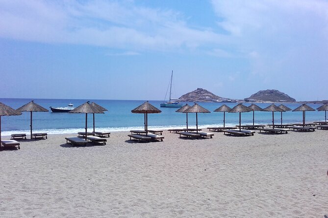 Mykonos Shore Excursion With Pickup From Cruise Ship Terminal - Important Policies and Considerations