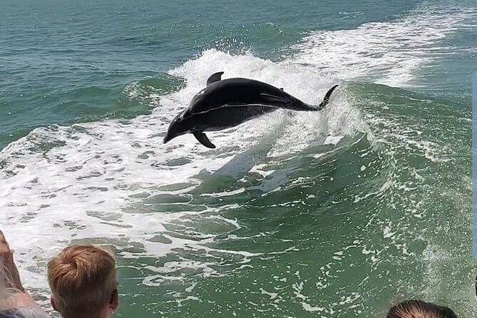 Myrtle Beach Dolphin Cruise - Positive Experiences and Highlights