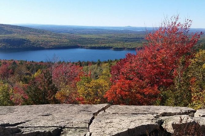 Narrated Bus Tour of Bar Harbor and Acadia National Park - Experiencing Thunder Hole