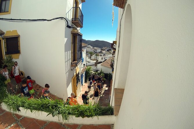 Natural Parck Jeep Eco Tour From Costa Del Sol - Traveler Reviews and Feedback