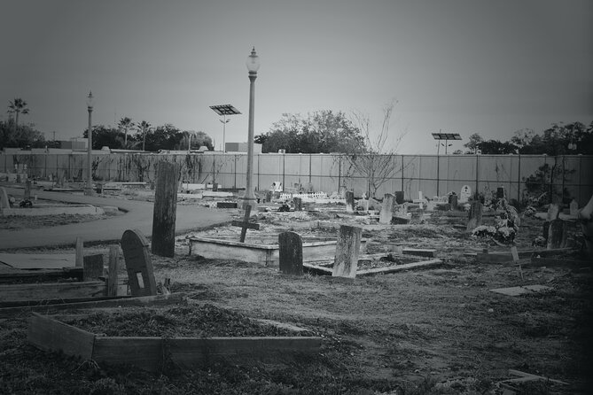 New Orleans Cemetery Bus Tour After Dark - Touring Conditions