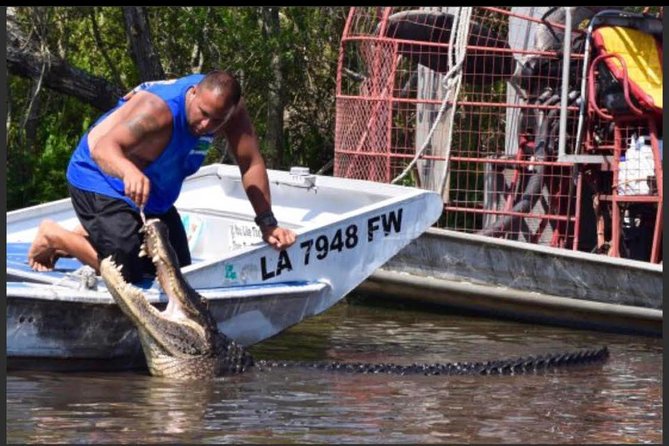 New Orleans Small-Group Airboat Swamp Tour - Knowledgeable Guides