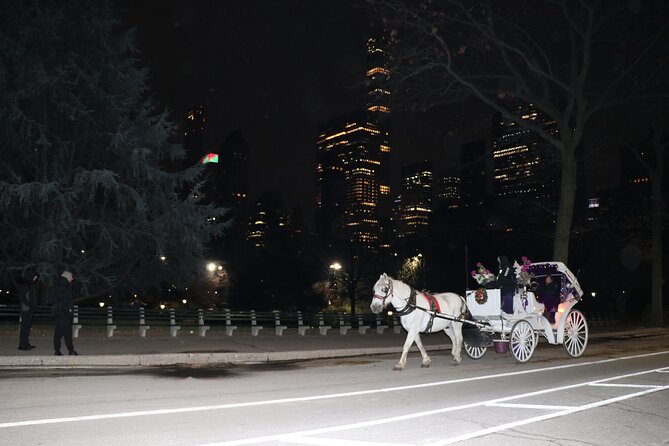 NYC Central Park Horse Carriage Ride (Up to 4 Adults) - Meeting Point and Logistics