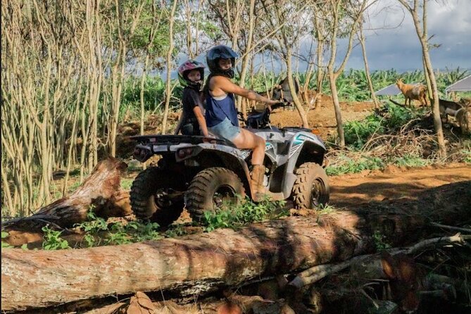 Oahu Beachfront ATV Adventure and Farm Tour - Intimate Group Sizes for a Personalized Experience