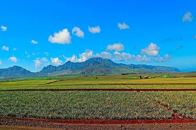 Oahu Grand Circle Island Experience From Waikiki - Recommended Tips and Considerations