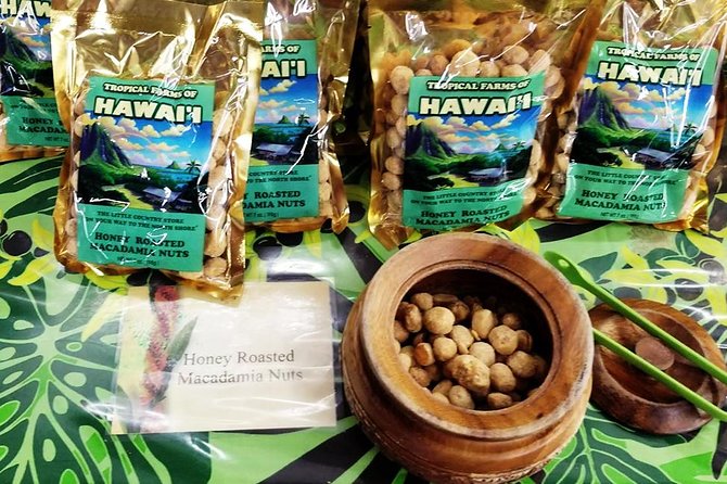 Oahus Ultimate Tour: Dole, Turtle Snorkel, & Nuuanu Pali Lookout - Snorkeling With Turtles on the North Shore
