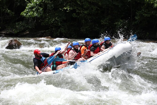 Ocoee River Middle Whitewater Rafting Trip (Most Popular Tour) - Physical Requirements