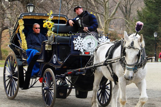 Official NYC Horse Carriage Rides in Central Park Since 1979 ™ - Traveler Reviews and Feedback