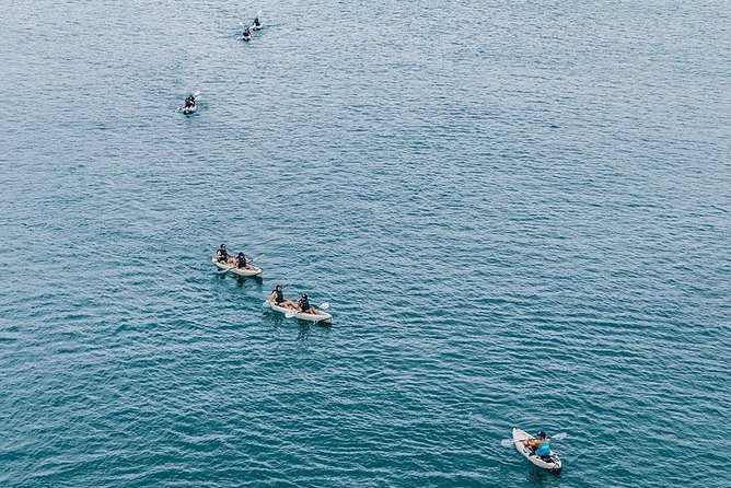 Original La Jolla Sea Cave Kayak Tour for Two - Additional Information