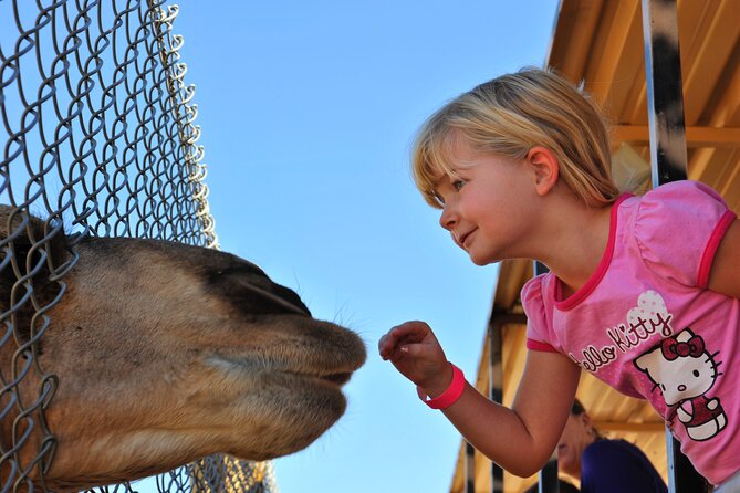 Out of Africa Wildlife Park Admission Ticket - Animal Encounters and Experiences