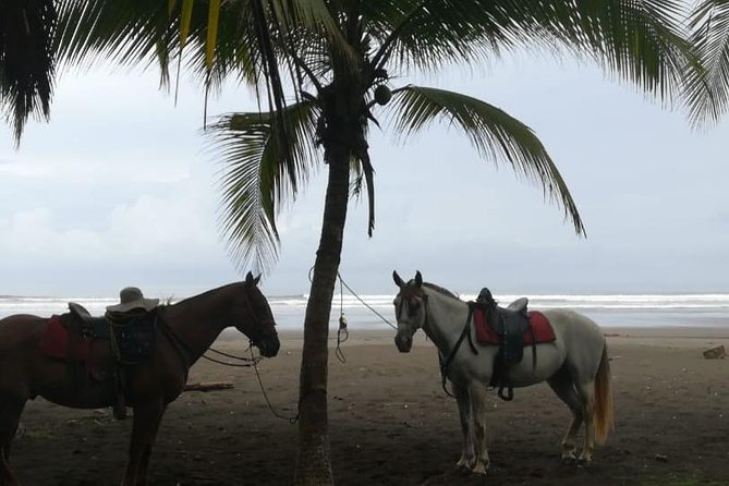 Personalized Beach Adventure Near Jaco - Tips for Enjoying the Beach Adventure