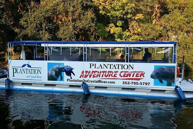 Plantations Kings Bay Scenic Cruise - Positive Guest Experiences and Feedback