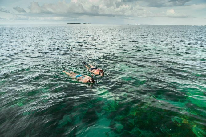 PM Half-Day Trip From Key West With Kayaking, Snorkeling & Sunset - Snorkeling Experience