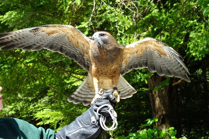 PREMIUM Sitka Scenic Tour - Cancellation Policy