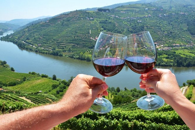 Private Douro Valley Wine Tour: 2 Wine Estates, Lunch and Cruise - Special Features