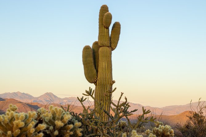 Private Scottsdale Off-Road Jeep Tour - Native American History