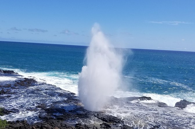 Private Waimea Canyon Tour - Guest Experience and Reviews