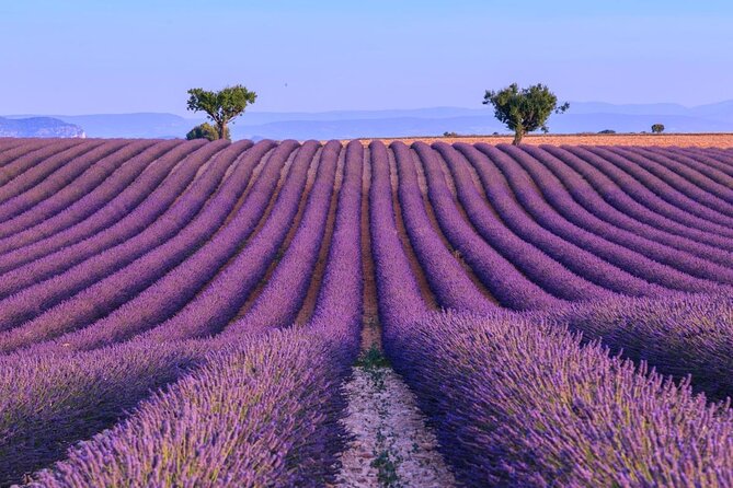 Provence Lavender Fields Tour From Aix-En-Provence - Exploring Lavender Farms and Villages