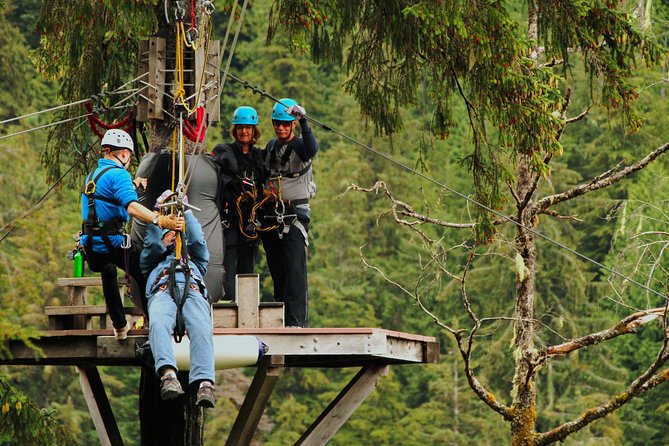 Rainforest Canopy & Zipline Adventure in Ketchikan, AK - Traveler Experiences and Feedback