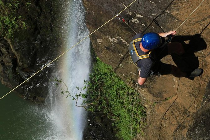Rappel Maui Waterfalls and Rainforest Cliffs - Navigating the Rainforest Cliffs and Waterfalls