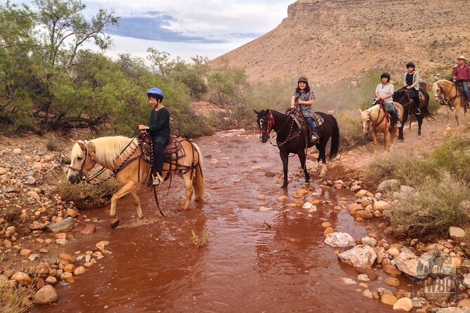 Red Rock Canyon Sunset Horseback Ride and Barbeque Dinner - Safety Considerations