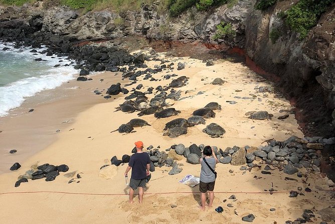 Road to Hana: Full-Day Scenic Drive With Blacksand & Waterfalls - Customizable Meal Options for the Tour