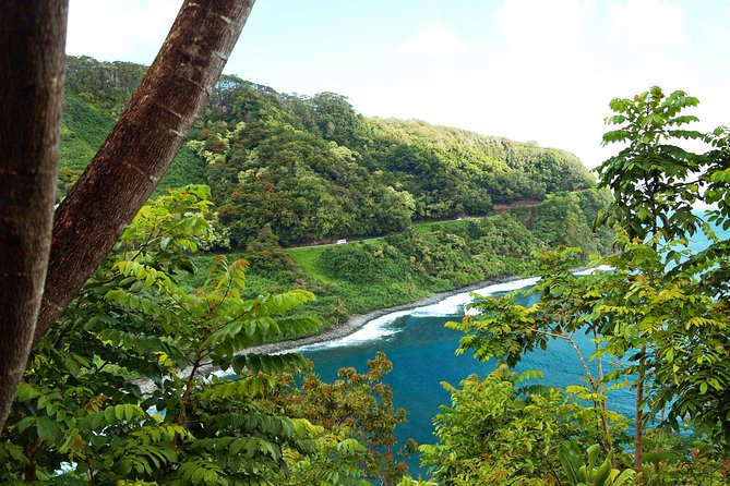 Road to Hana Tour With Lunch and Pickup - Small-Group Adventure