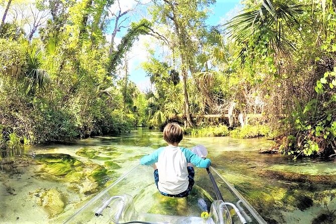 Rock Springs 2-Hour Glass Bottom Guided Kayak Eco Tour - Weather Considerations