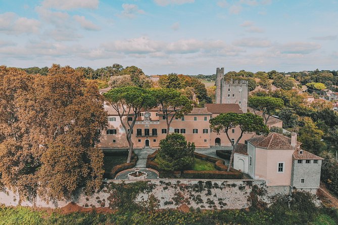 Roman Countryside Food & Wine Tasting in a Medieval Winery - Guest Experiences and Feedback