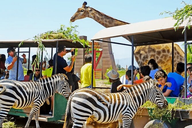 Safari Park, Wild Experience - Big Cats Safari Park