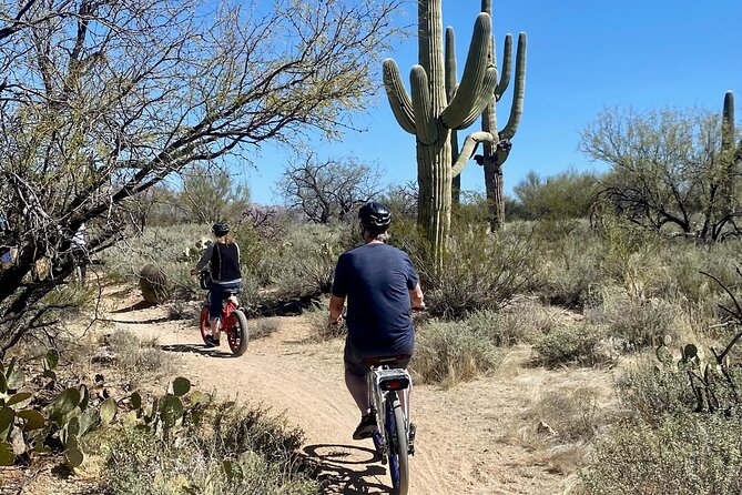 Saguaro National Park East E-Bike Tour - Customer Reviews and Feedback