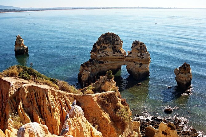 Sailing Cave Tour Ponta Da Piedade Lagos - Meeting Point and Logistics