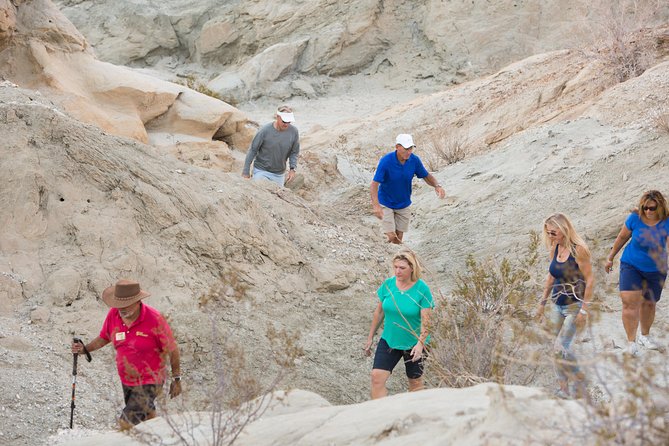 San Andreas Fault Jeep Tour From Palm Desert - Traveler Reviews and Feedback