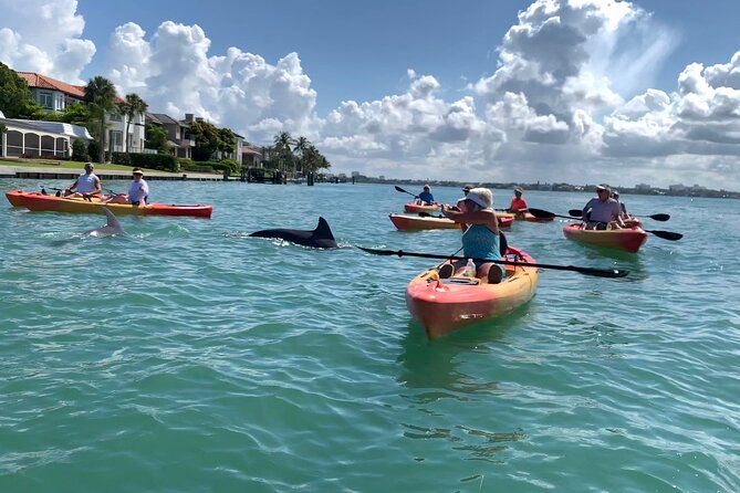 Sarasota Mangrove Tunnel Guided Kayak Adventure - Pricing and Booking Information