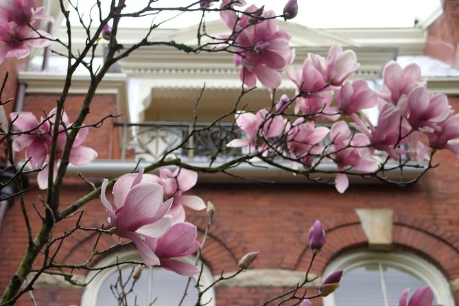 Savannah Historic District Walking Tour - Traveler Reviews and Feedback