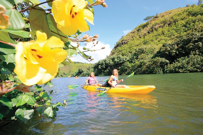 Secret Falls Kayak Hike in Kauai - Meeting Point and Logistics
