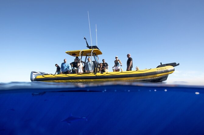 Shark-Dive Tour on Oahus North Shore - Snorkeling Equipment and Small Group Size