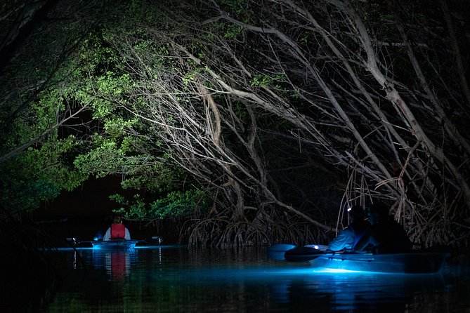 Shell Key Clear Kayak Sunset & Glow Tours - Positive Guest Experiences