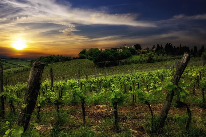 Siena: A Wine Tour and Tasting Experience - Sensory Tasting of Regional Wines
