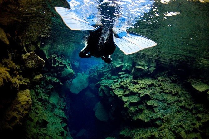 Silfra Fissure Snorkeling From Reykjavík - Free Underwater Photos - Age, Weight, and Medical Requirements